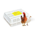 Wholesale Price plastic chicken transport coops cage poultry live chicken Broiler transport cages